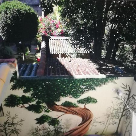 Suite Oisivete Avec Terrasse Vue Sur Patio Et Clim 몽펠리에 외부 사진